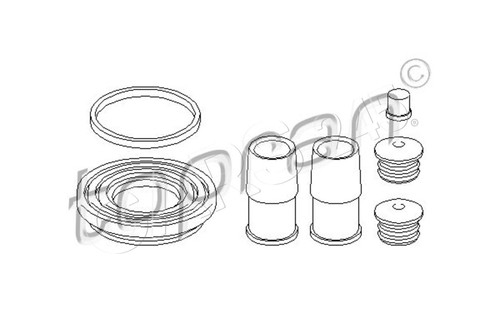 Brake caliper repair kit - kit, for