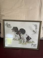 Nigel Hemming Framed Print Spaniels