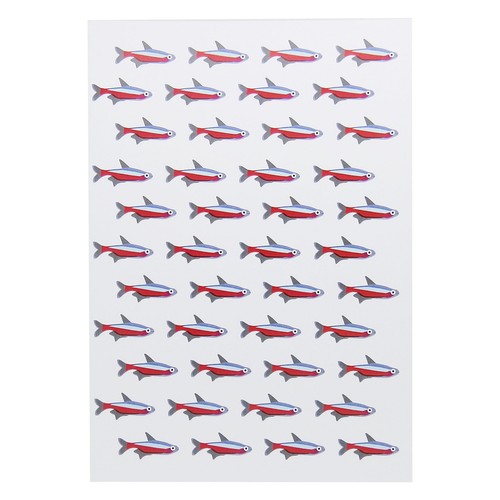 Robert william tropical - robert,