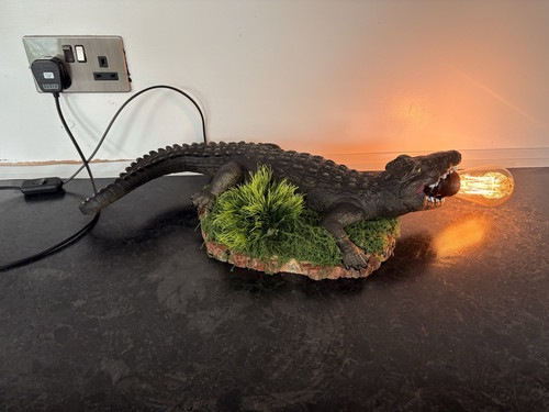 Crocodile novelty table - novelty,