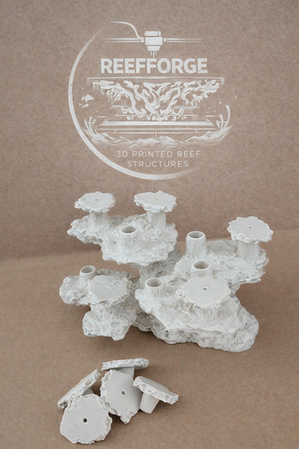Printed coral frag - frag, rack