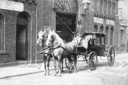 Kuu horse drawn hearse - horse,