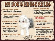 Old English Sheepdog My Dog's