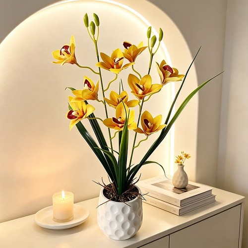 Cymbidium orchid plant - orchid,