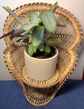 Vintage Wicker Peacock Chair