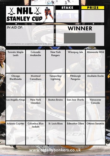 Ice hockey fundraising scratch - ice,