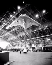 Rogallo paraglider wing - rogallo,