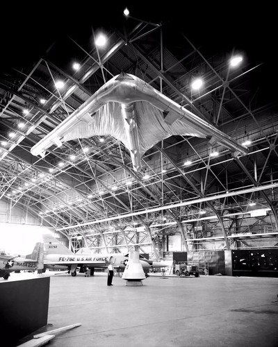 Rogallo paraglider wing - paraglider,