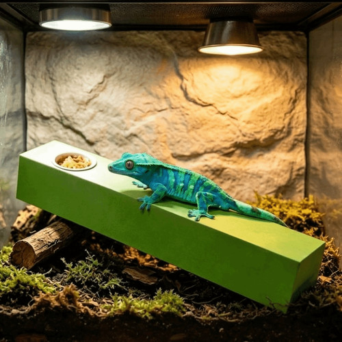 Lizard feeding stick - feeding, gecko