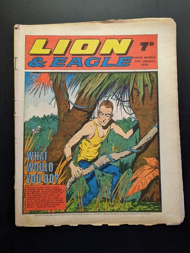 Lion and eagle comic - lion, 24th