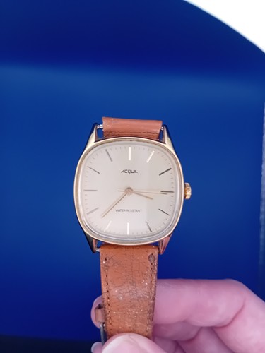 Acqua mens watch manual - acqua,