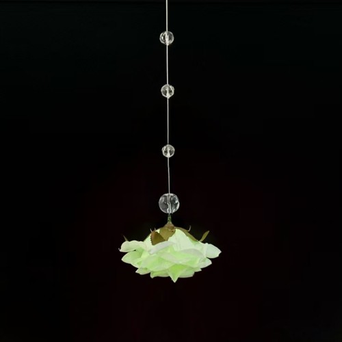 10x rose flower - rose, glass