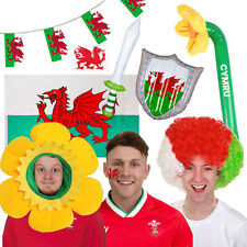 WELSH FANCY DRESS RUGBY WALES