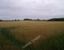 Photo 6x4 View West from