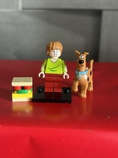 SHAGGY & SCOOBY DOO Customised