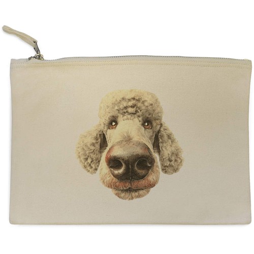 Funny poodle dog portrait - 'funny,
