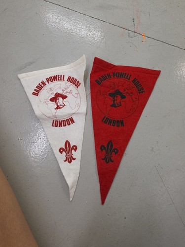 Scout banner - scout,