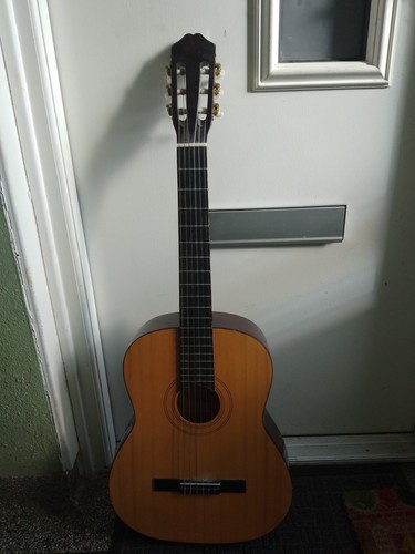 Burswood acoustic guitar model - guitar,