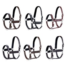 Premium Leather Horse Halter /