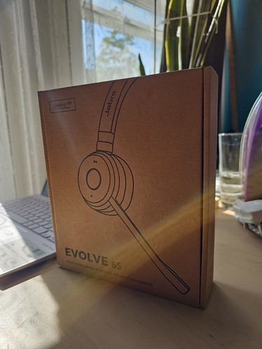 Jabra evolve wireless - 65,