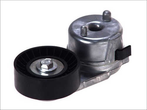 Fits dayco dayapv2488 - fits,
