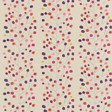 Scion Berry Tree Mink Plum