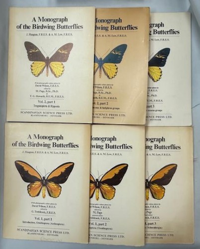 Haugum low birdwing - low,