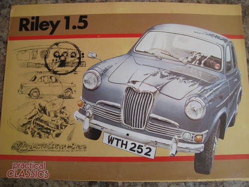 Riley illustration - riley,