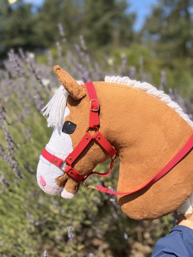 Halter for hobbyhorses - for, hobby