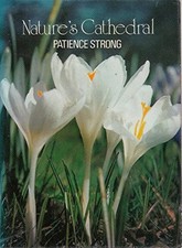Nature's Cathedral - Patience