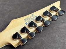Ibanez RGA42FM-TRB