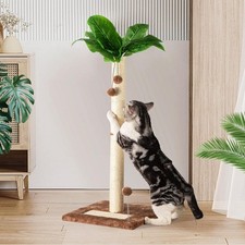 Cat Scratching Post for Indoor