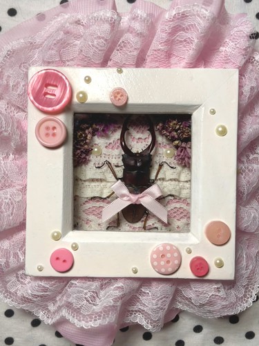 Pink cutecore longjaw beetle - cutecore,