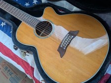 Takamine PTU111-12VN 12-String