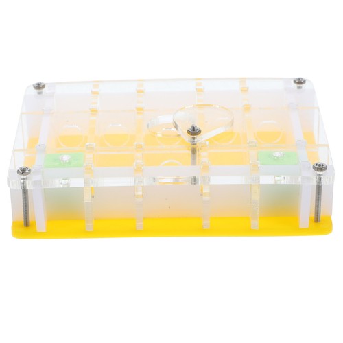 Set acrylic ant castle - ,