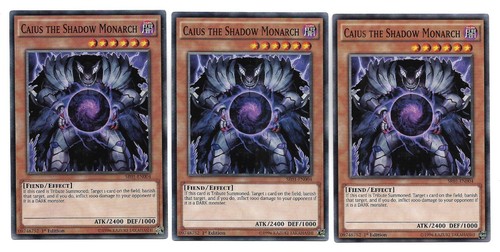 Caius the shadow monarch - caius,