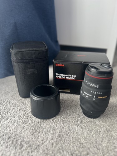 Sigma 300mm 5 6 - f/4-5.6, dg