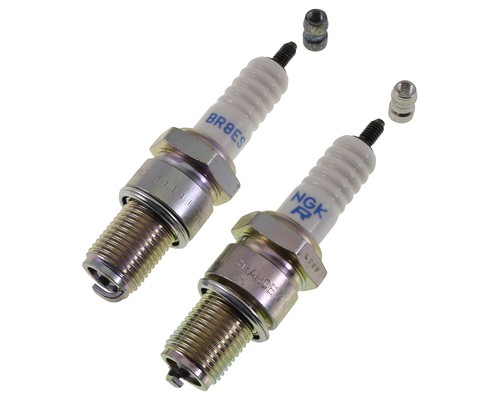 Ngk spark plug - ngk,