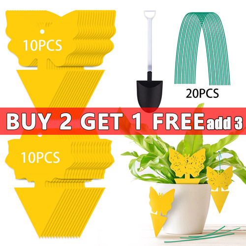 Pack fruit fly - pack, yellow