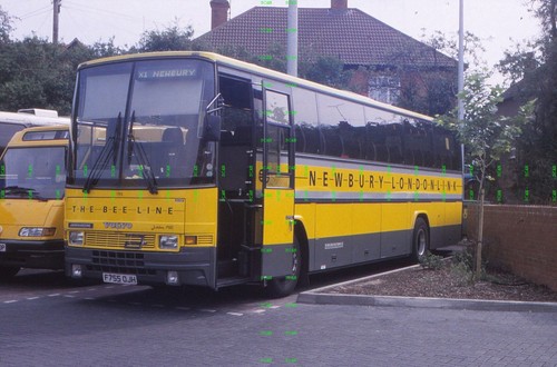 35mm slide the - bee, line