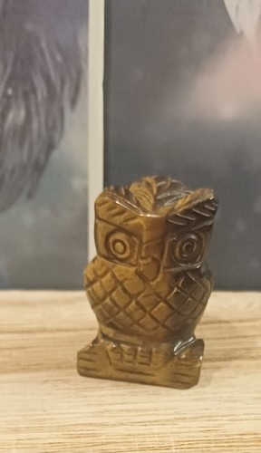 Carving tiger eye owl 4cm - eye, foot
