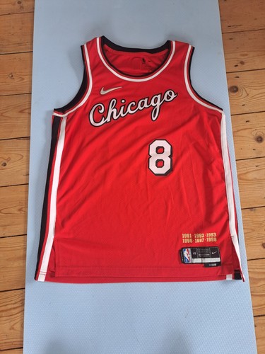 Nba chicago bulls - chicago, zach