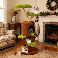 Large Cat Tree Activity Centre