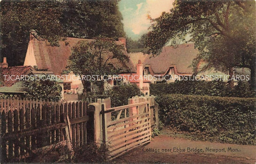 1911 newport cottages near - newport,