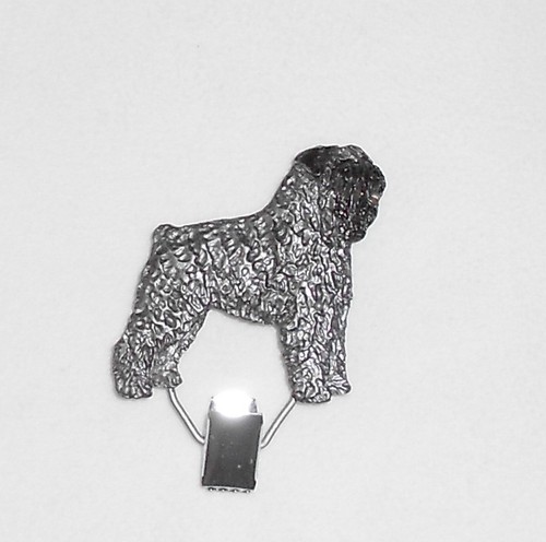 Grey bouvier des - des, flandres