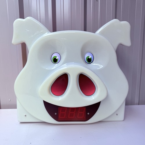 Big novelty pig head - big, display