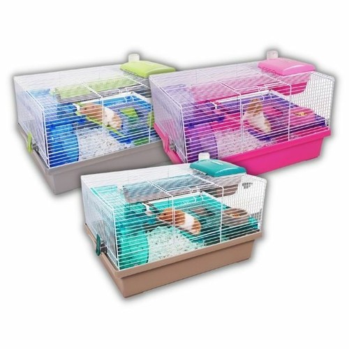Rosewood pico hamster mice - rosewood,