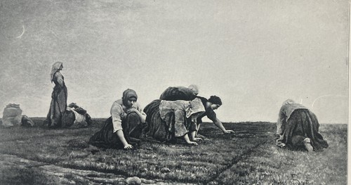 The weeders antique lithograph - antique,