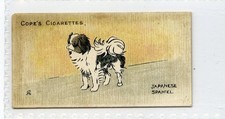 (Gd5618) Cope, Dogs of the World, (Scandinavian), #42 Japanese Spaniel 1912 G-VG