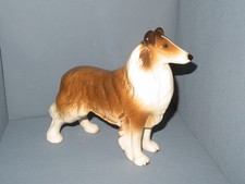 Large Rough Collie Dog China